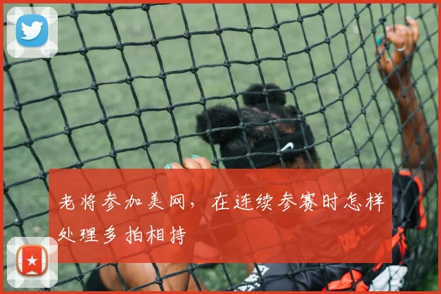老将参加美网，在连续参赛时怎样处理多拍相持