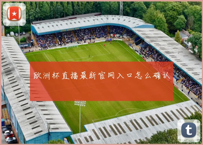 欧洲杯直播最新官网入口怎么确认