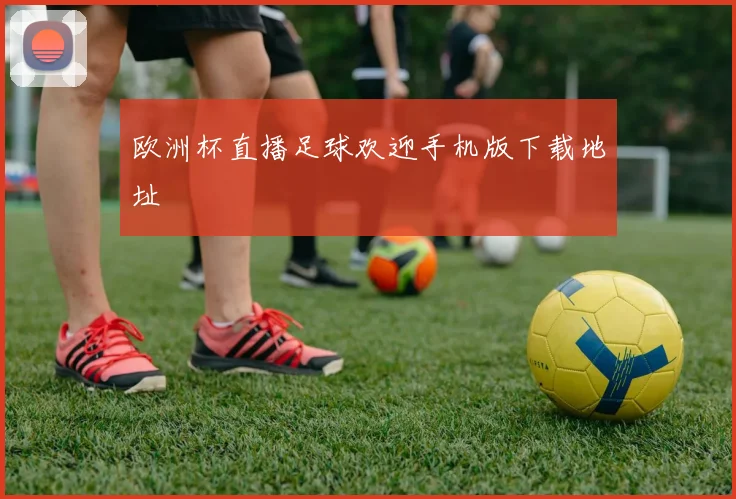 欧洲杯直播足球欢迎手机版下载地址