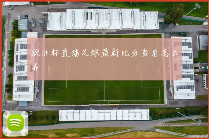 欧洲杯直播足球最新比分查看怎么弄