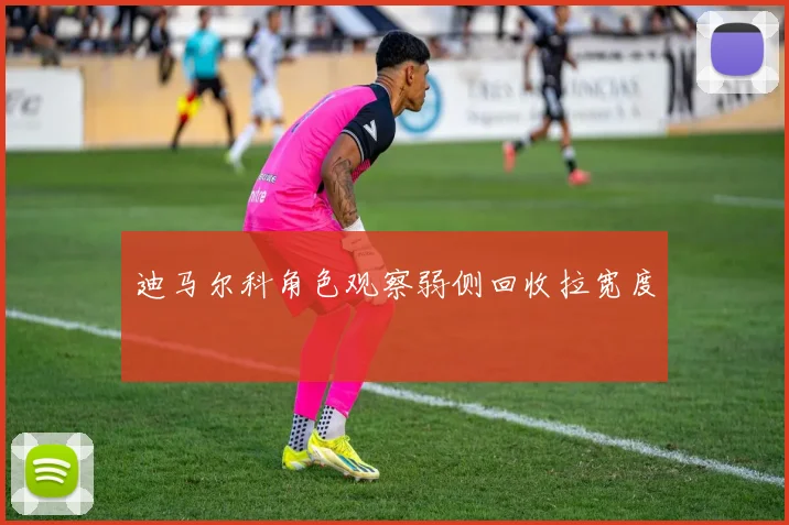 迪马尔科角色观察弱侧回收拉宽度