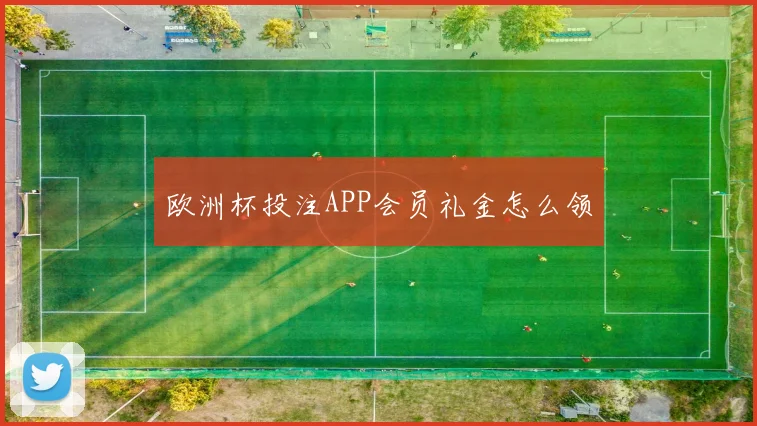 欧洲杯投注APP会员礼金怎么领